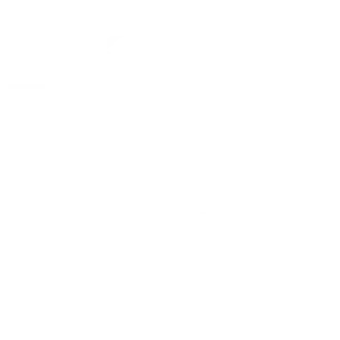 ISO 9001:2015 logo